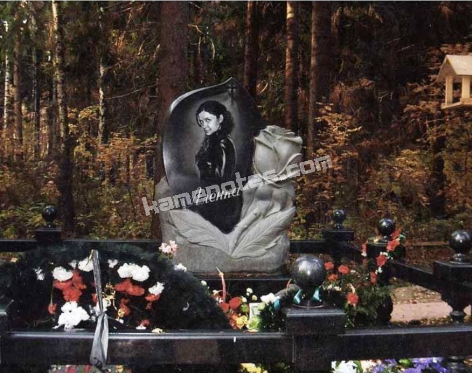 Пам’ятник VIP-9521