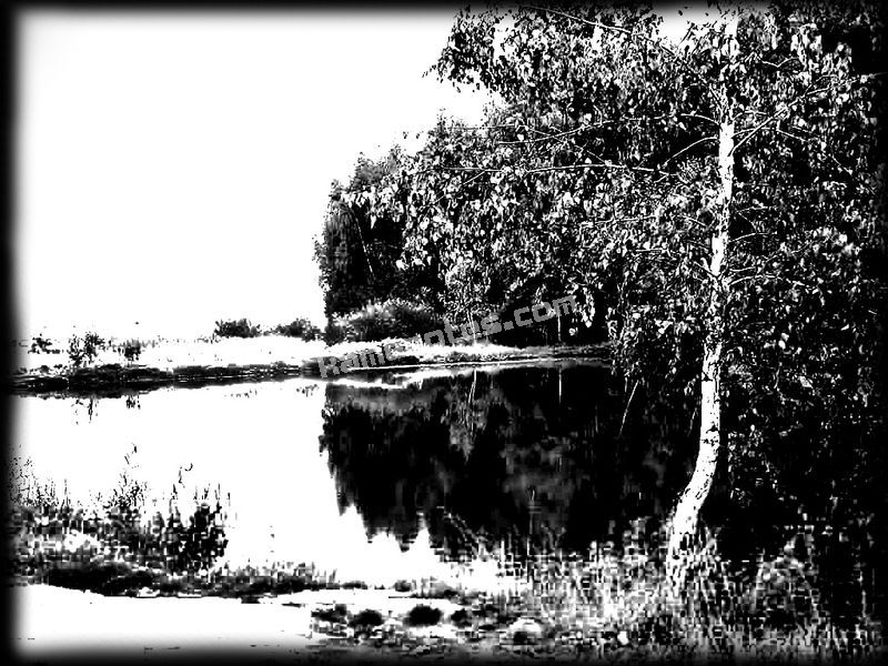 Пейзаж на пам’ятник PRIRODA-05