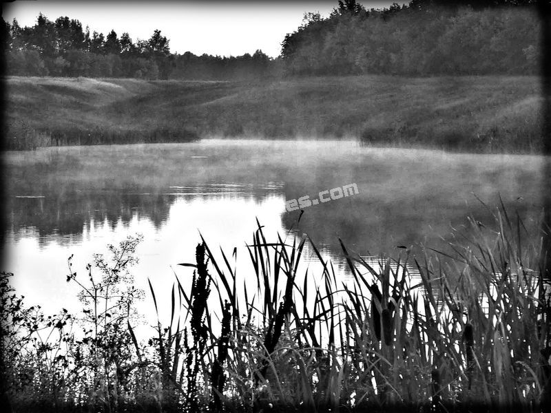 Пейзаж на пам’ятник PRIRODA-09